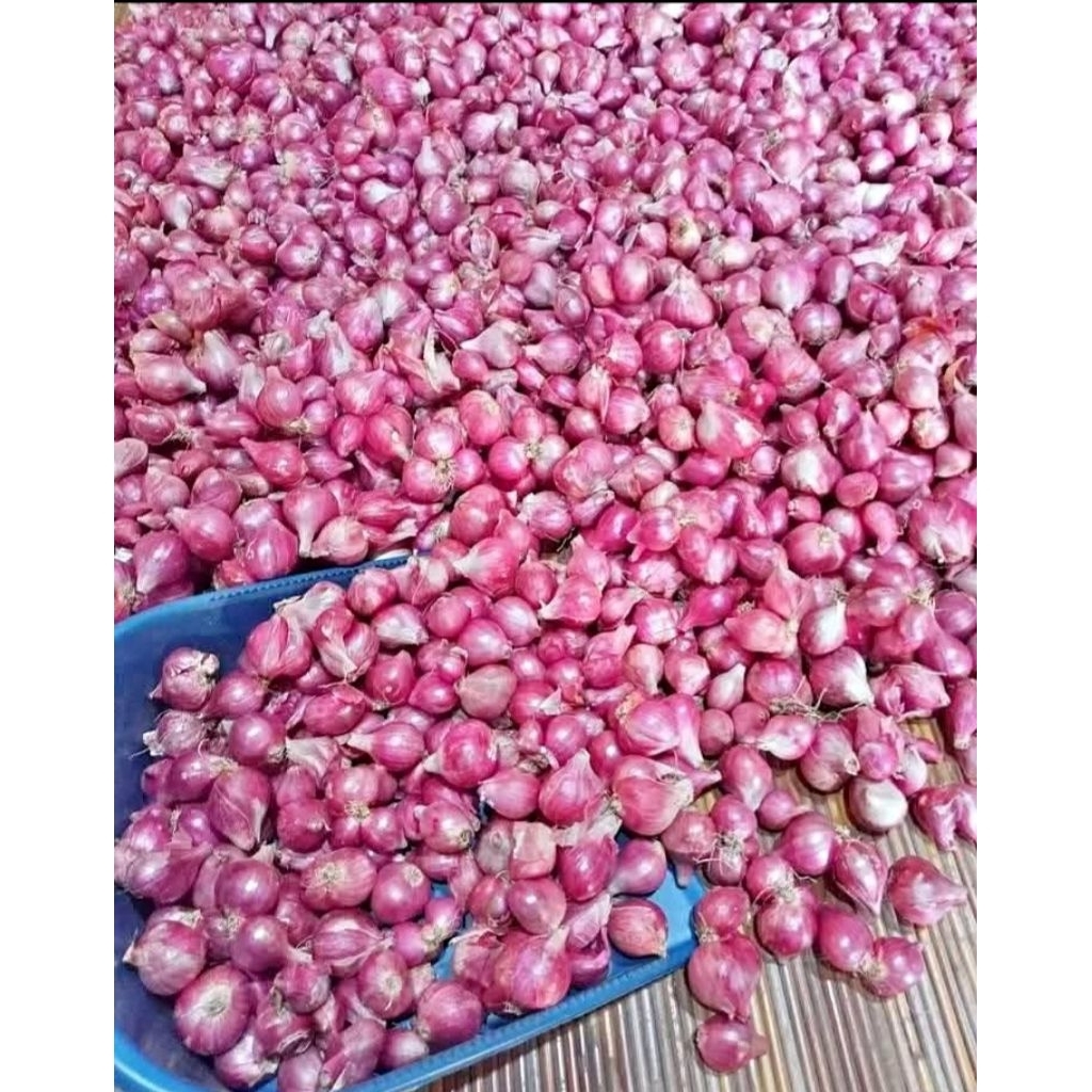 

Bawang Merah Ukuran Sedang 1 Kg.