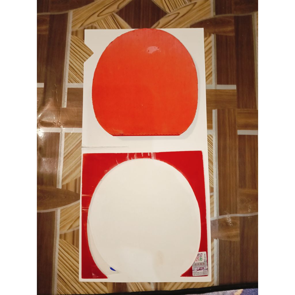 729 Aurora Max Pro Player Version