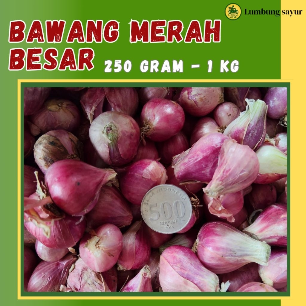 

Bawang Merah Kering Ukuran Besar – Kualitas Premium & Bergaransi