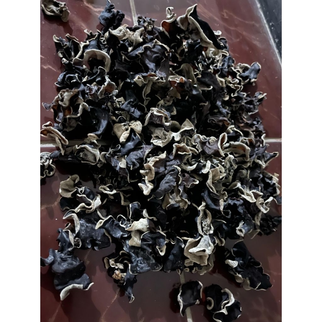

Jamur Kuping kering 1kg sedang mix mushroom food
