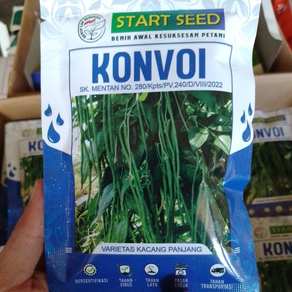 Konvoi 100gr