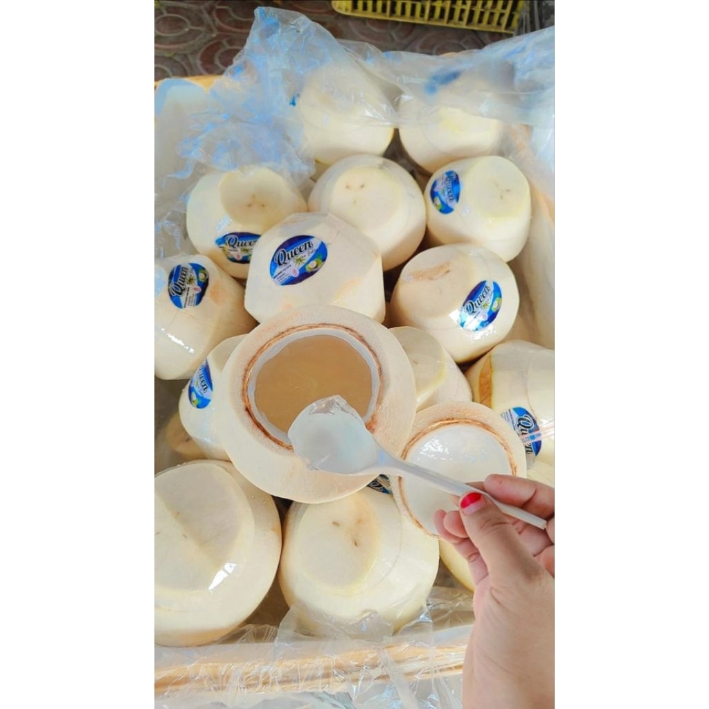 

Degan jelly isi 2