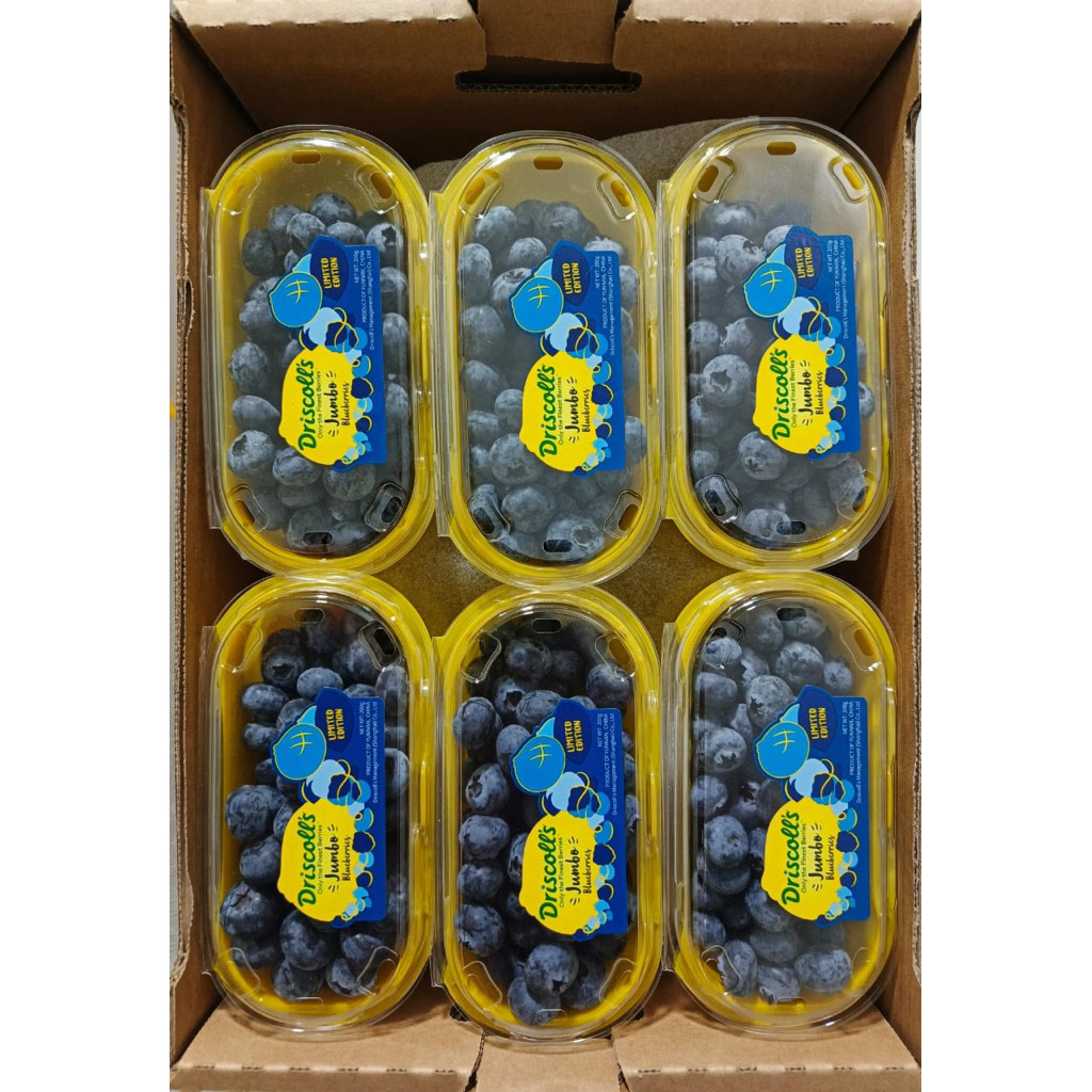 

BLUEBERRY DISCROLLS