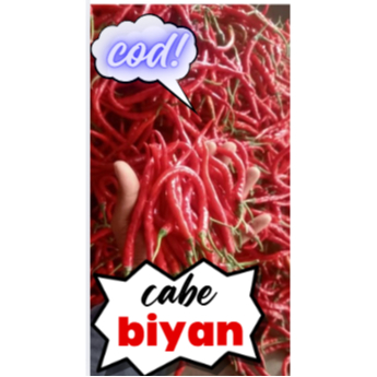 

1000gram/1kg cabe keriting merah fress petik langsung dari petani