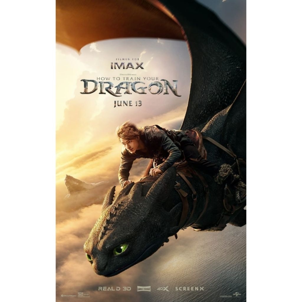 DVD How to Train Your Dragon 2025