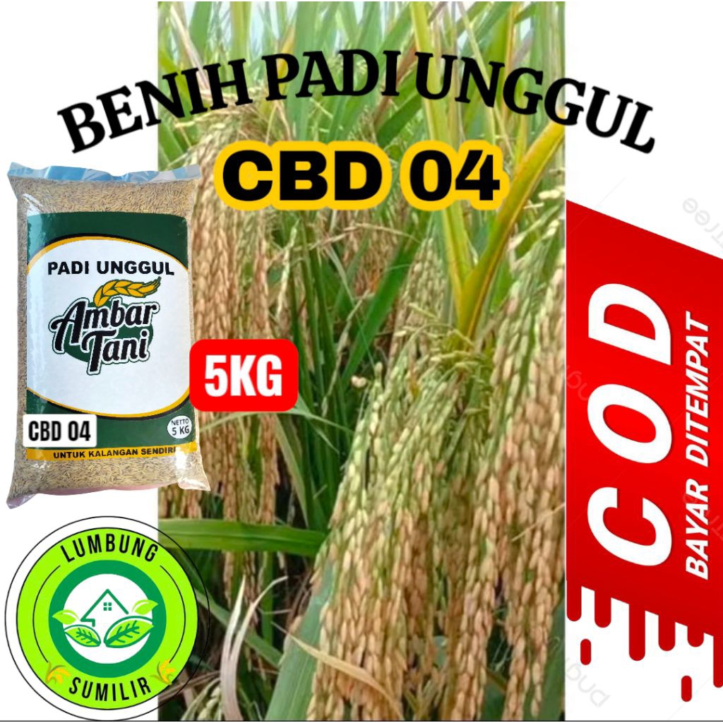 Benih Padi Unggul CBD 04 Kemasan 5kg