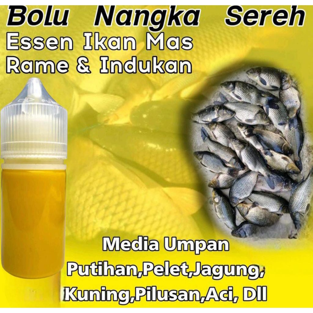 Essen Ikan Mas Rame Indukan, Essen Ikan Mas bolu nangka Sereh, Essen Ikan Mas media umpan putihan pe