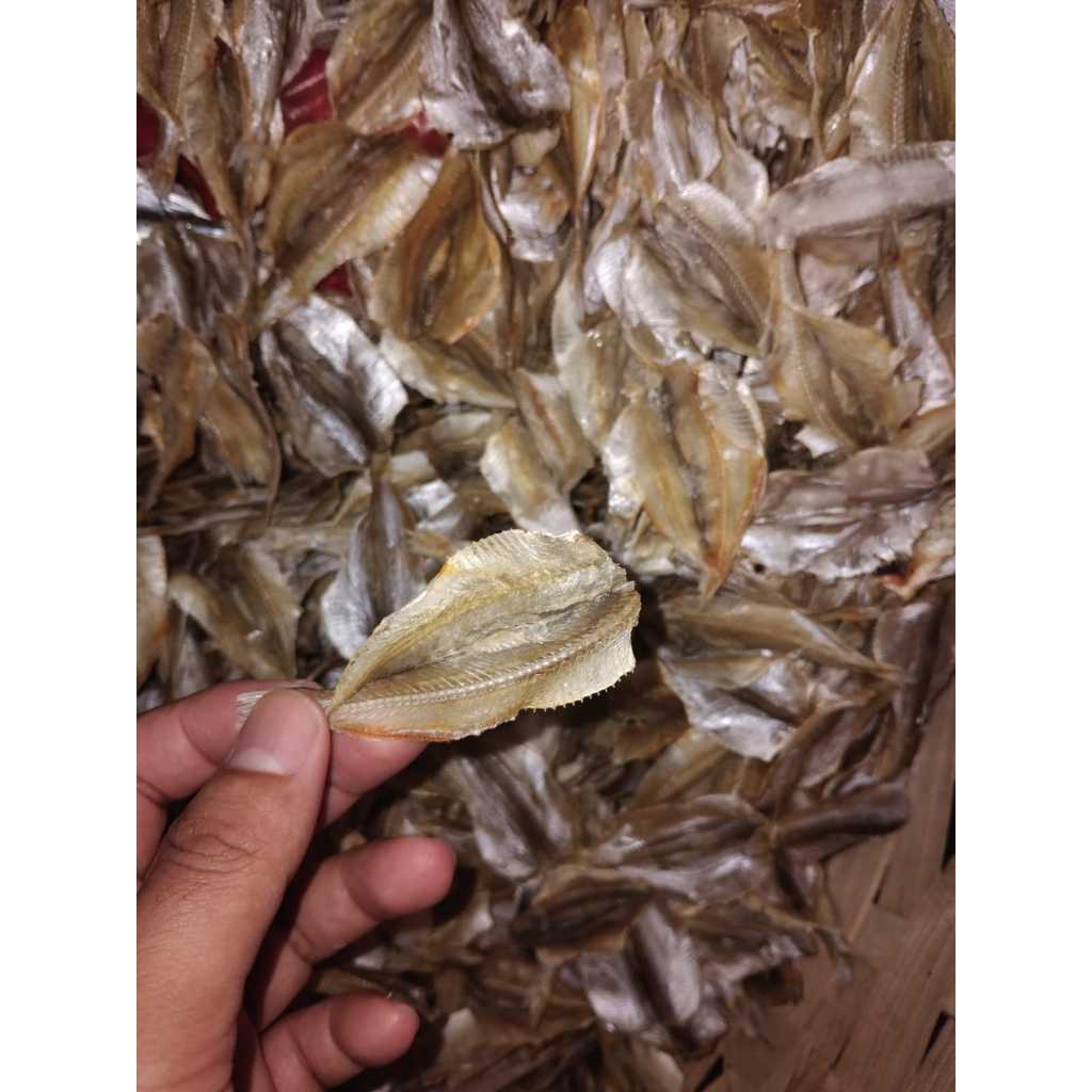 

Ikan asin belah kalapan pakang 500 gr kualitas super