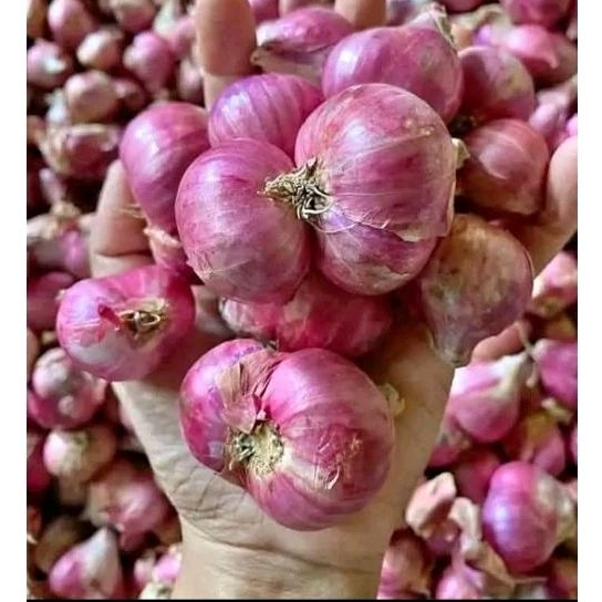 

Bawang Merah Super 250/500/1kg (yoyaharvest)