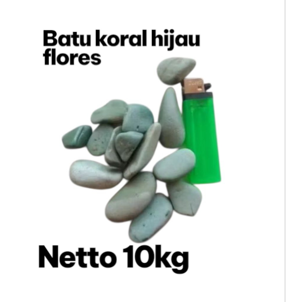Batu alam hijau flores ukuran 3 berat 10kg/Batu koral hijau/Batu sikat/Batu sikat hijau/Batu taman