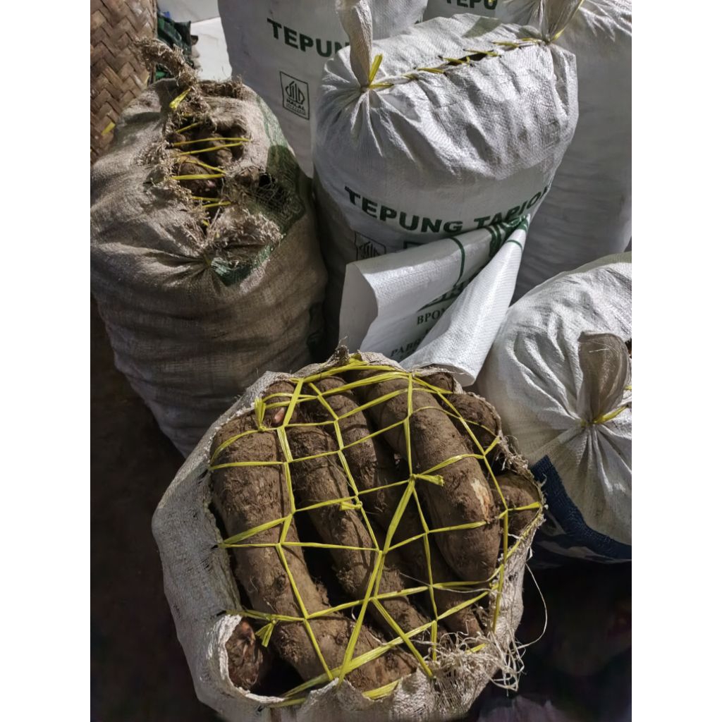 

talas ubi segar 10,000/kg