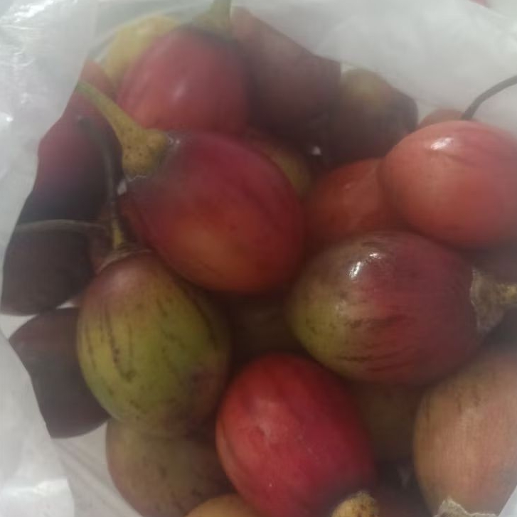 

terong Belanda merah untuk jus,Martabe 500 gram