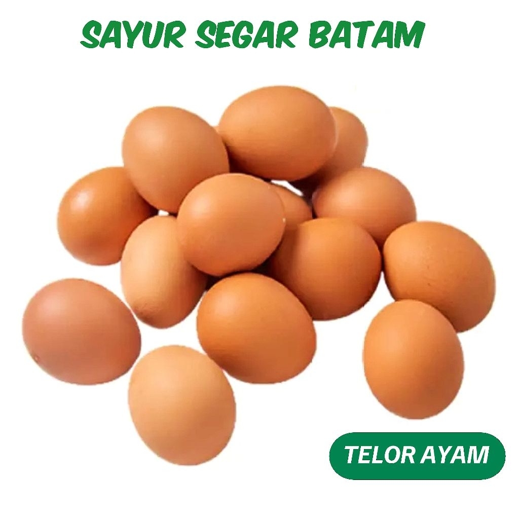 

Telur Ayam Per Pack Isi 10 - Sayur Segar Batam