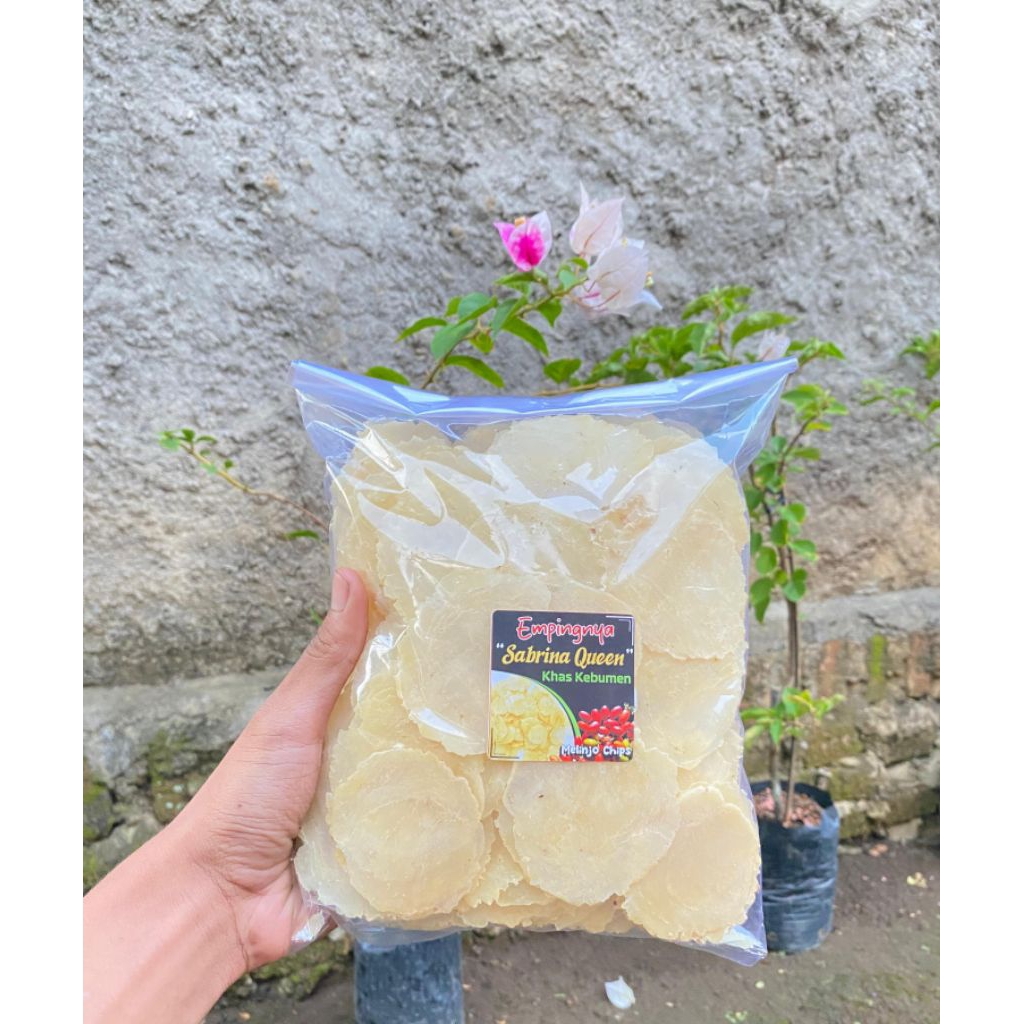 

(EMPING MELINJO SUPER 1KG) EMPING MELINJO MENTAH SUPER KERING SUPER TIPIS/ EMPING MELINJO PER (2 BIJI) MELINJO/ EMPING MELINJO MENTAH ORIGINAL SIAP GORENG BEST SELLER
