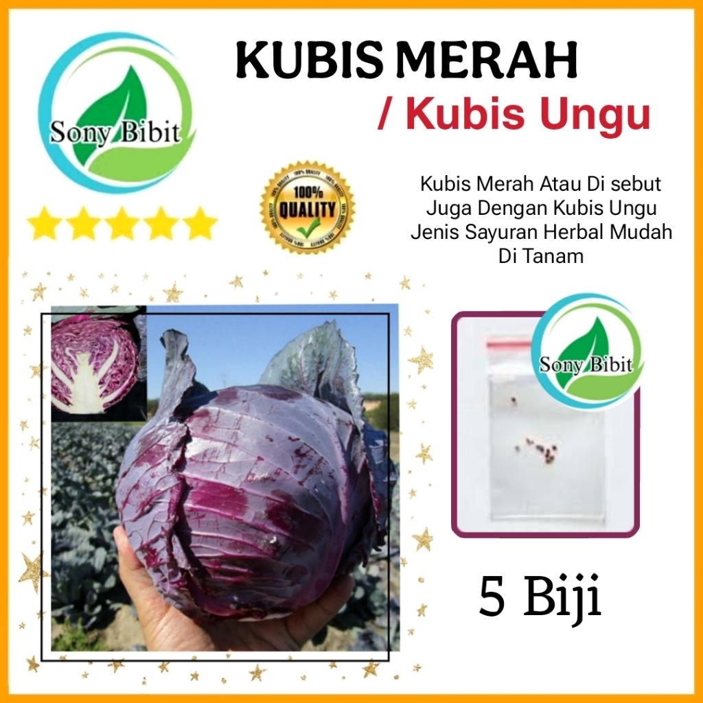 5 Benih Kubis Merah/ Kubis Ungu Benih Ekonomis