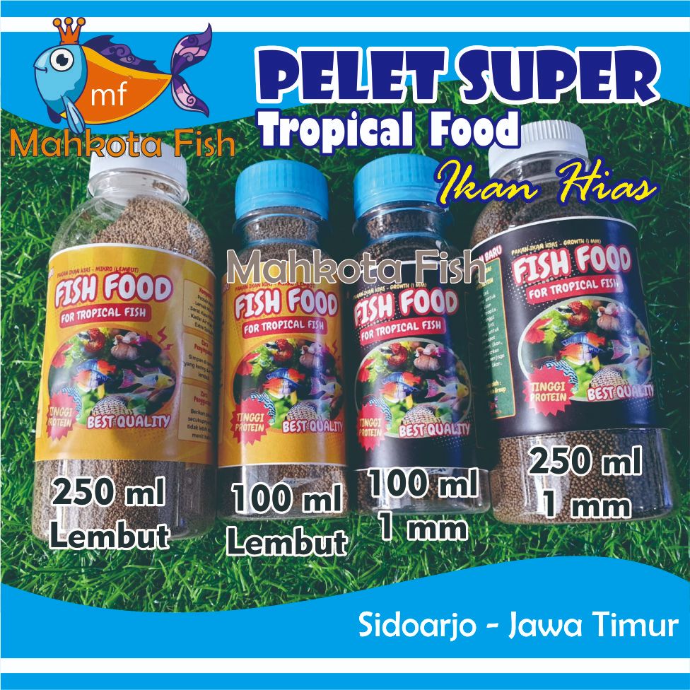 Pakan Ikan Hias Kecil | Pelet Ikan Hias Premium, Pakan Ikan Hias, Pakan Ikan Warna Warni, Pakan Fish