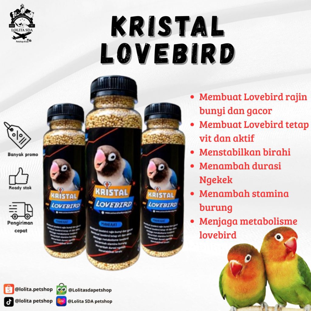 GACOR KRISTAL / PAKAN LOVEBIRD GACOR / VITAMIN LOVEBIRD GACOR / MAKANAN BURUNG / VITAMIN BURUNG