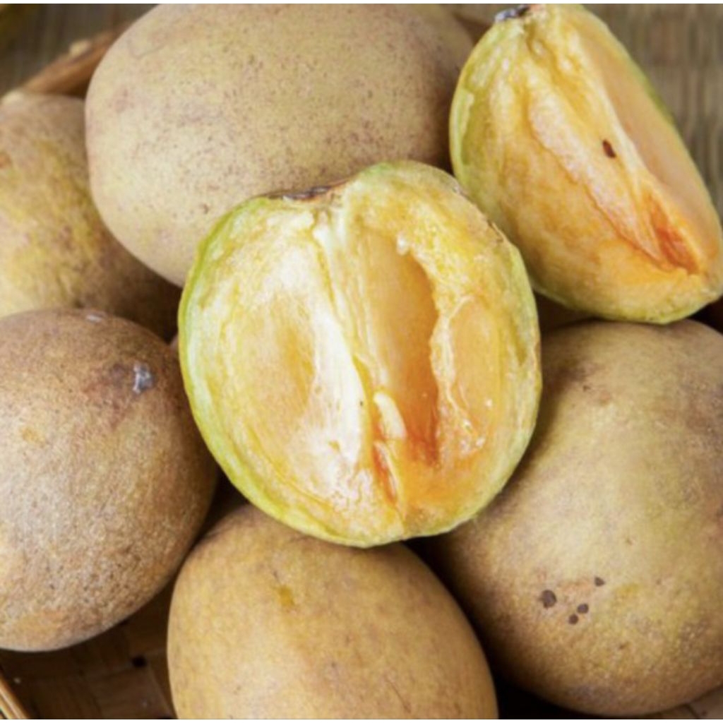 

Buah Sawo Karang Superr Manis 1kg - 5kg