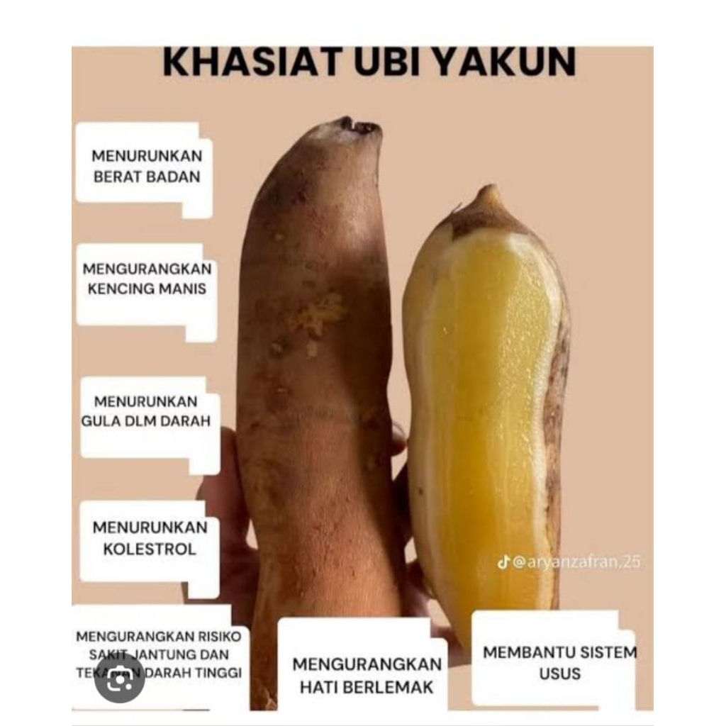 (VIRAL) UBI MANIS YAKON/YAKON SEGAR PREMIUM