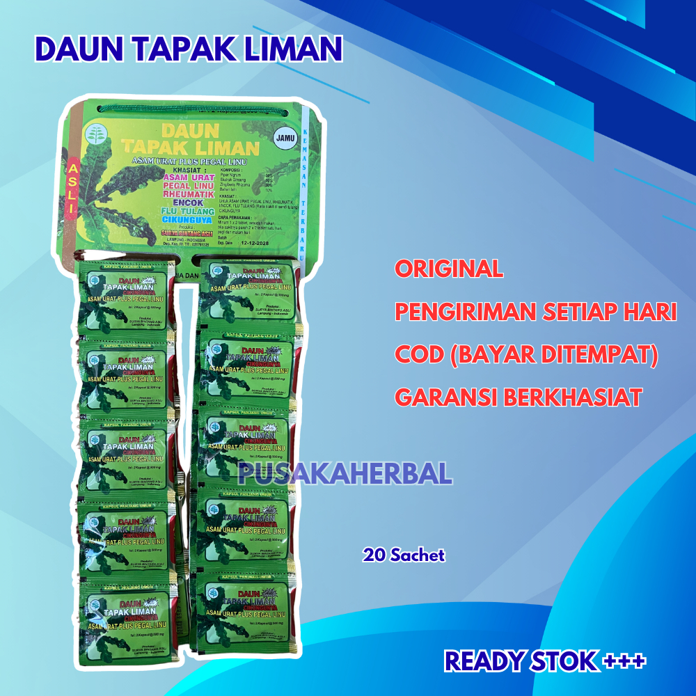 

Daun Tapak Liman Original 20 Sachet