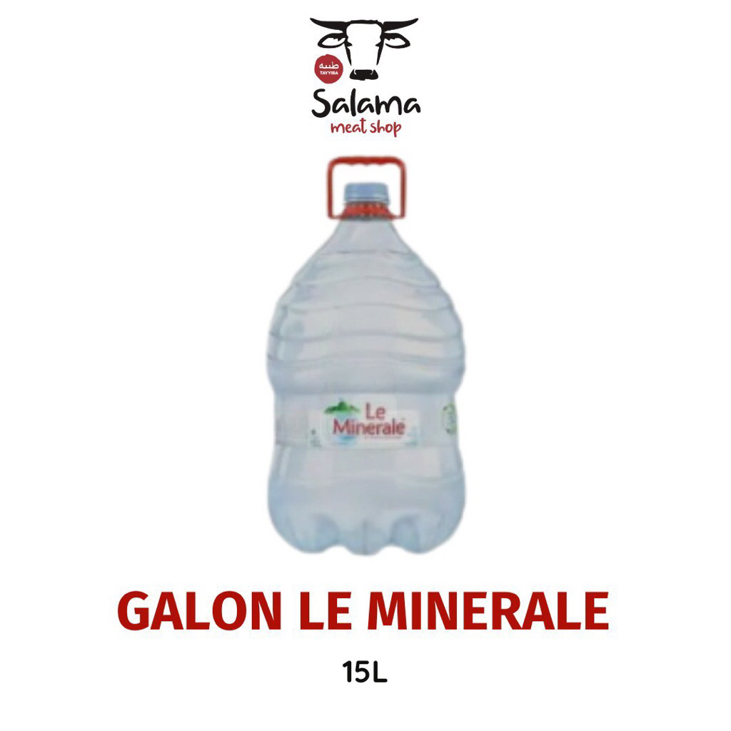 

GALON LE MINERALE & CLUB 15L