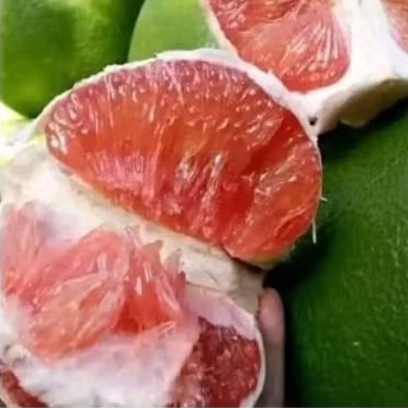 

Jeruk pamelo atau jeruk bali mulai 600 gr