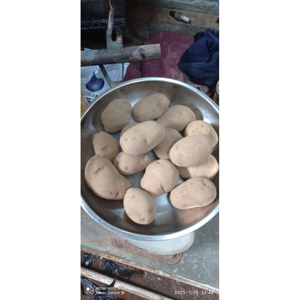 

kentang dieng ukuran sedang kemasan 1kg