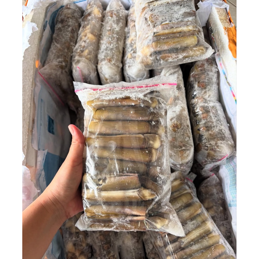 

kerang bambu