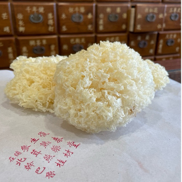 

Jamur Putih salju / Bai Mu Er / Snow White Fungus / Yin er/ Pek Bong Ni