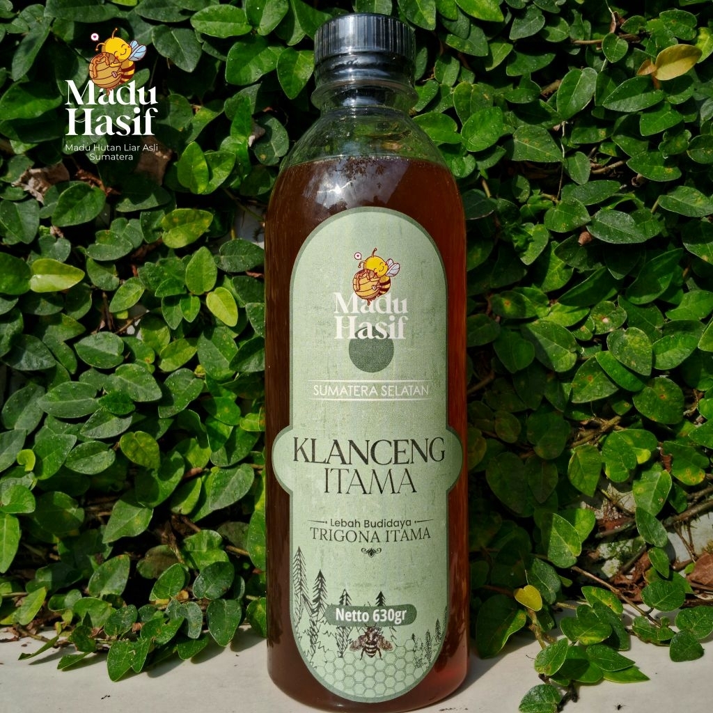 Madu Klanceng Lebah Trigona