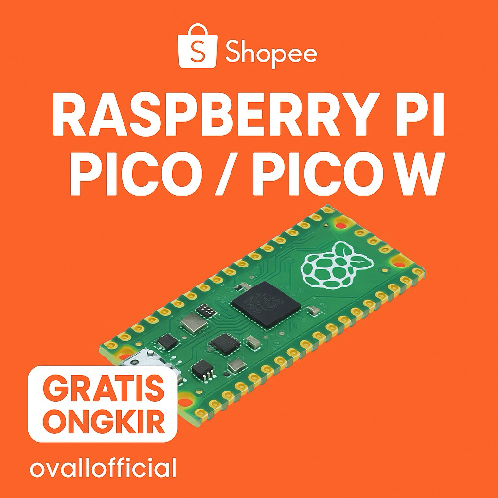 Raspberry Pi Pico / Pico W