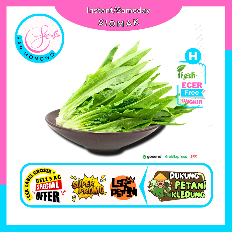 

Sanmonggoo >> Siomak / Selada Wangi -- Hasil Bumi Sindoro Sumbing Ecer (H)