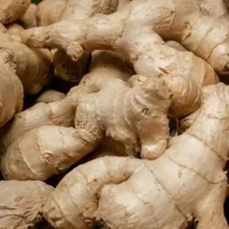 

Jahe Emprit 500 grm dari PURWOREJO