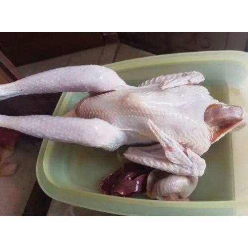 

Ayam kampung utuh 1 ekor