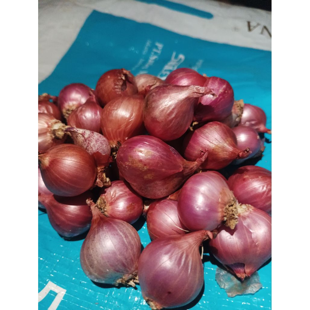 

bawang merah asli Alahan panjang 500 gr