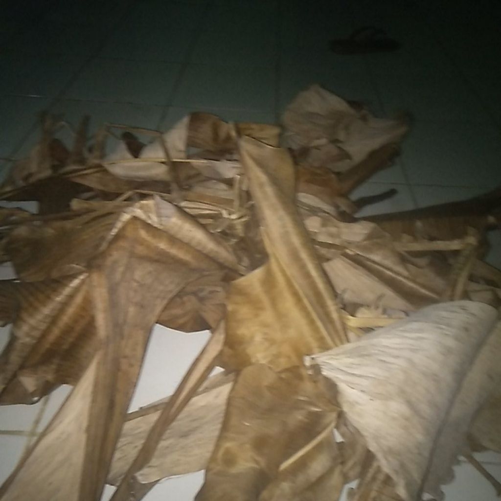 

daun pisang kiring /daun pisang coklat media jangkrik 500 grm