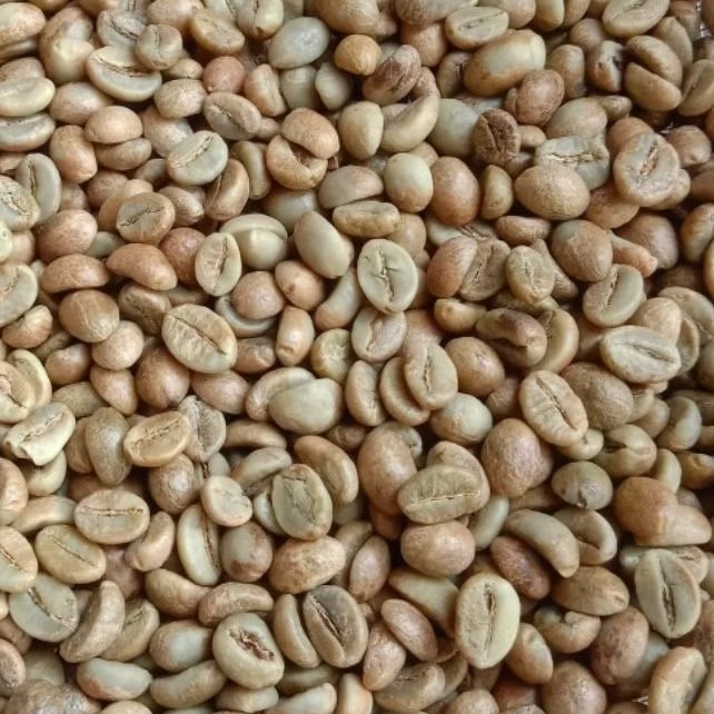 

Biji Kopi Robusta Fine Natural Sindoro Kopi Temanggung 1kg