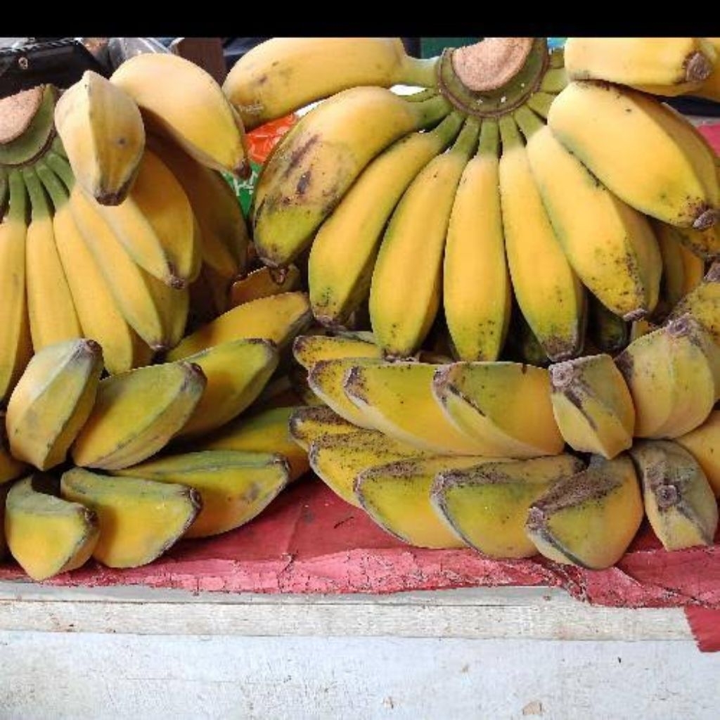 

pisang kepok manis