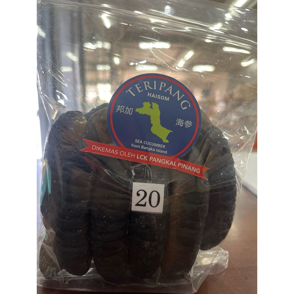 

haisom teripang sea cucumbar