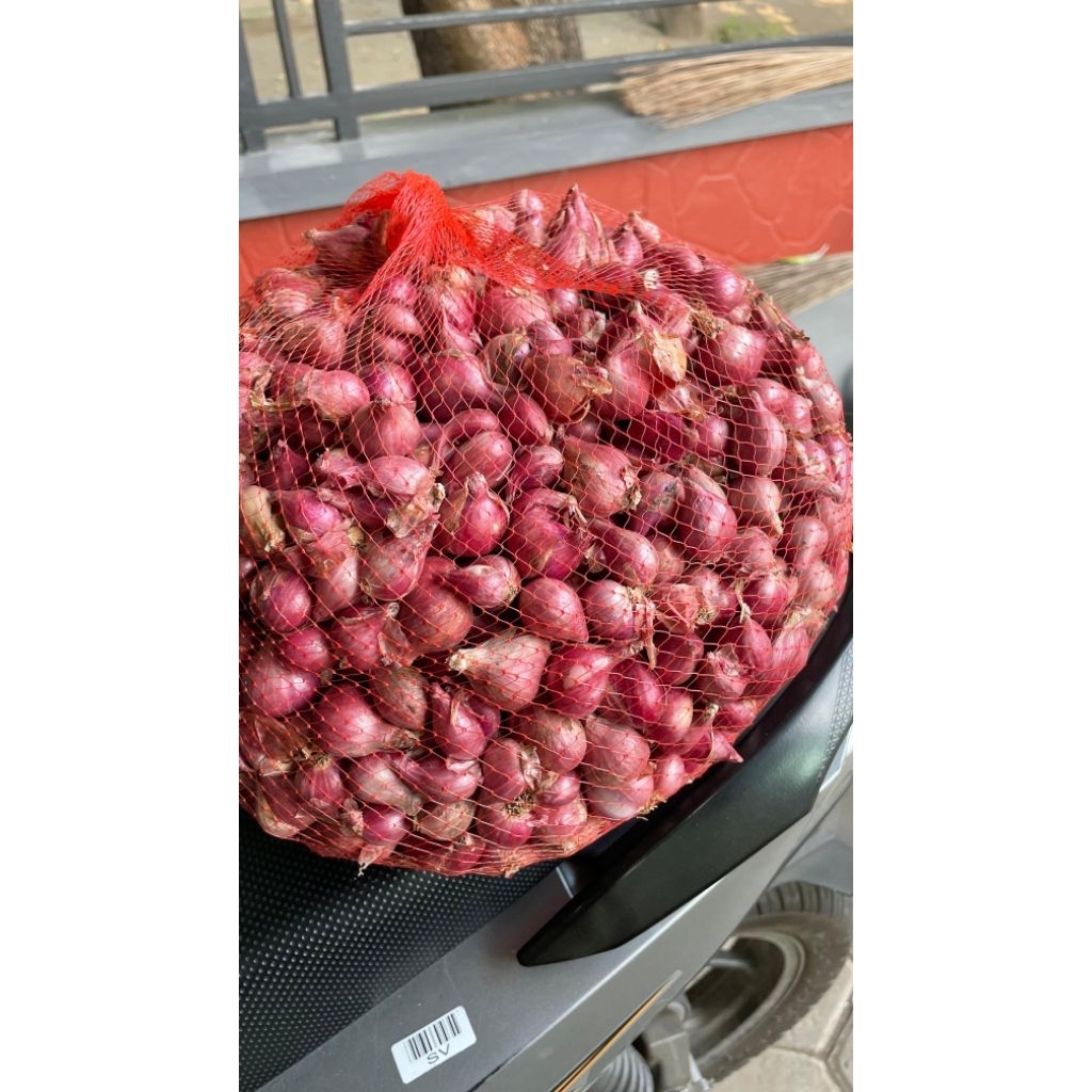 

Bawang Merah Probolinggo
