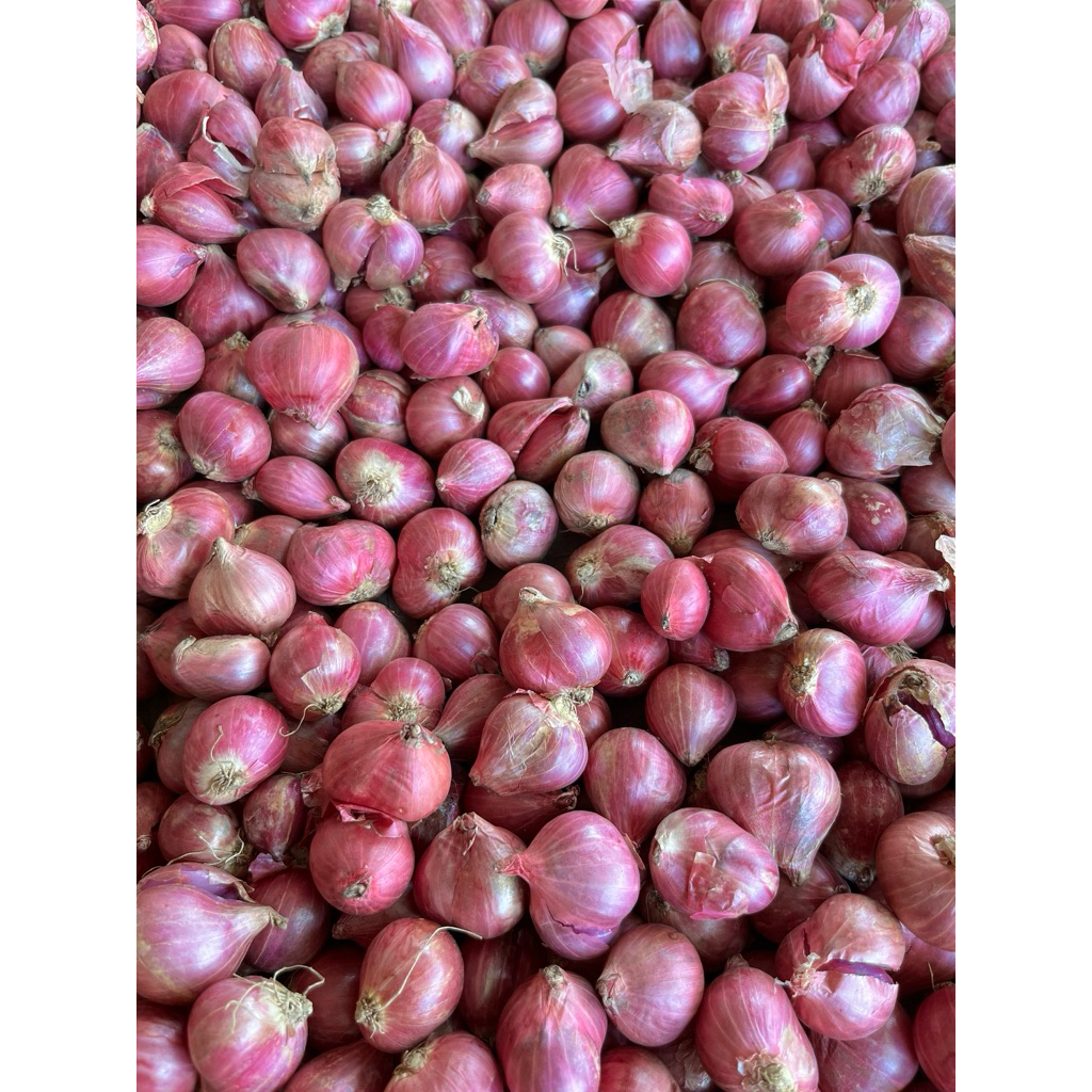 

Bawang Merah Probolinggo