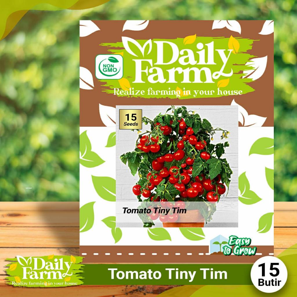 Benih Bibit Tomat TINY TIM -  Tomat Mini Buah Lebat - Daily Farm