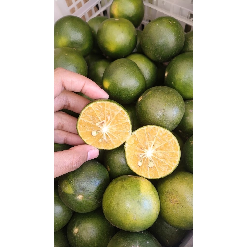 

jeruk peres fress seger 1kg 10.000rb