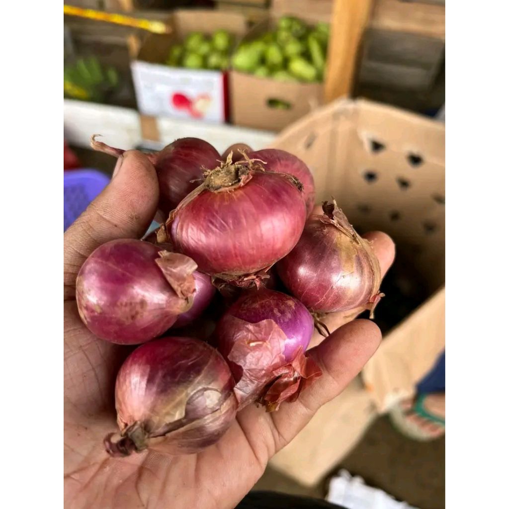 

bawang merah belum kupas
