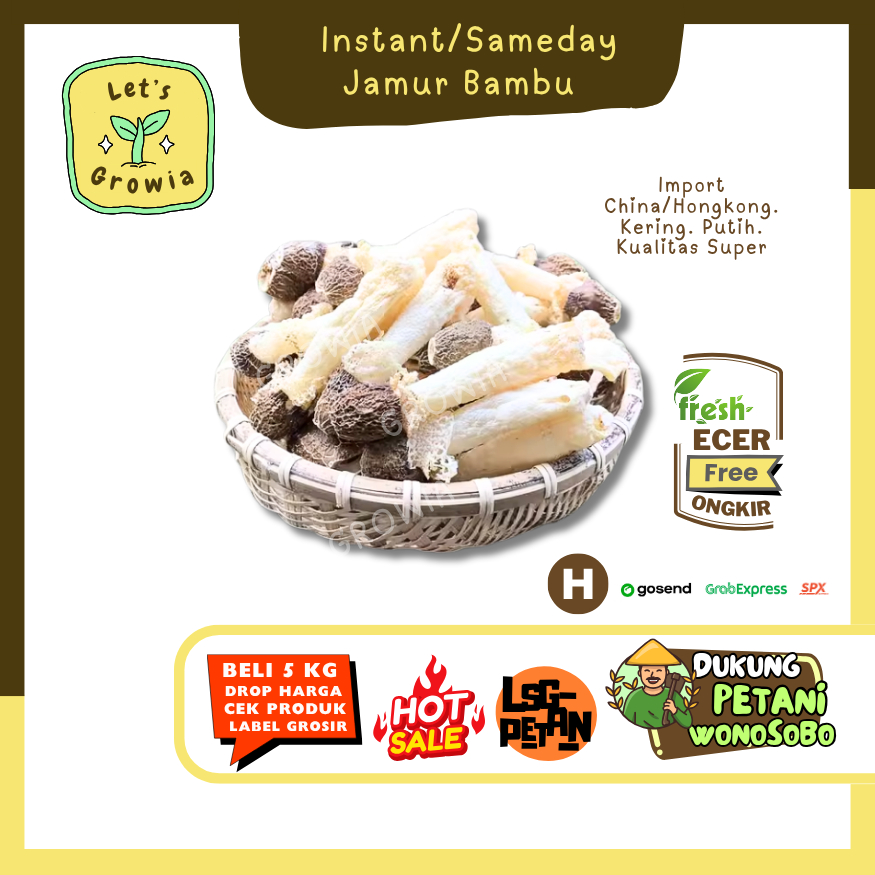 

Growia || Jamur Bambu -- Hasil Petani Langsung Ecer (H)