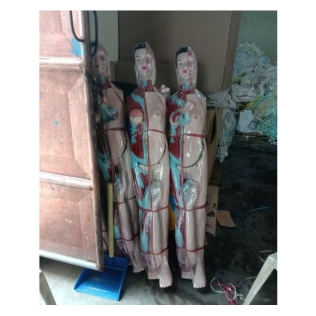 

Torso seluruh tubuh dwi fungsi 110cm