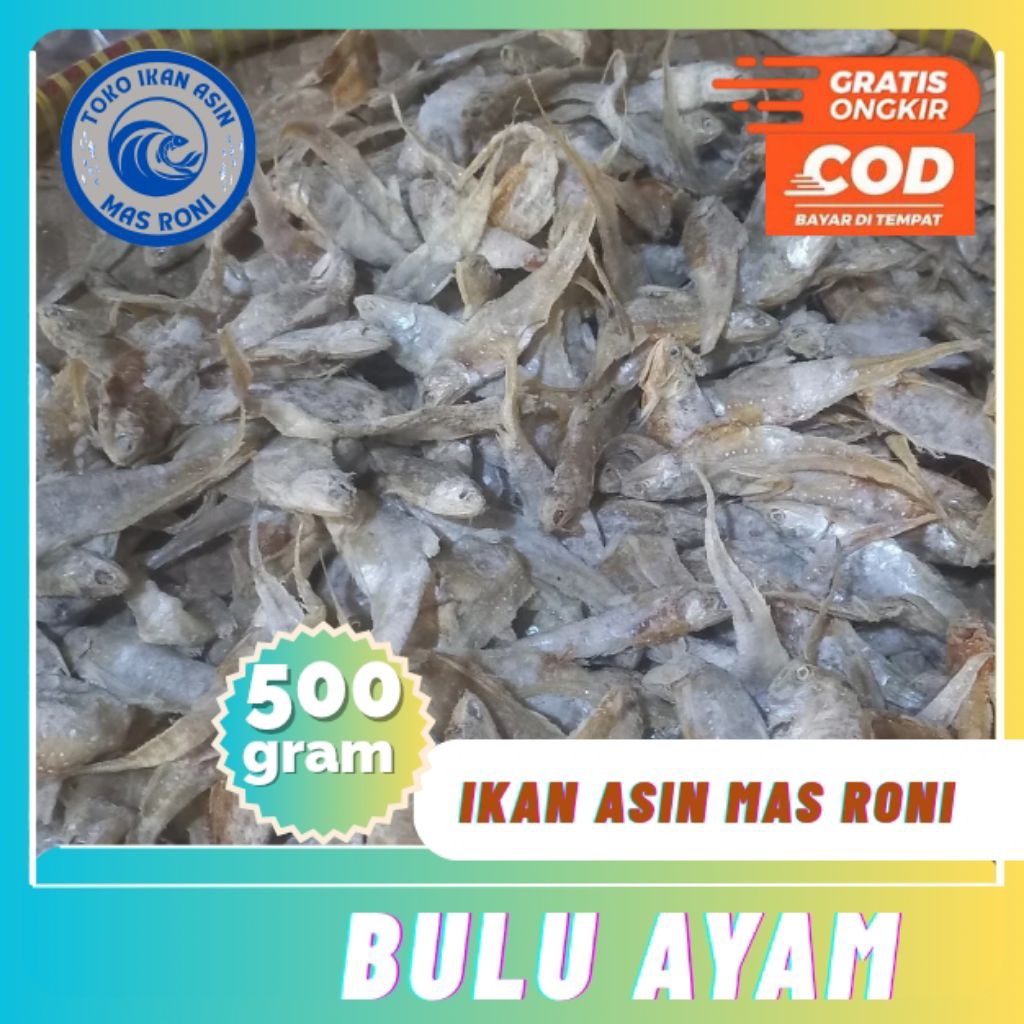

Ikan Asin Bulu Ayam premium 500gram