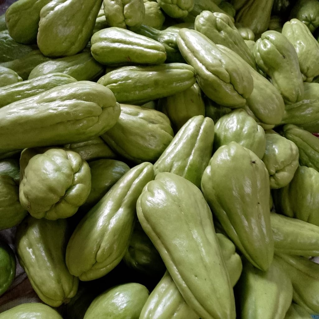 

labu Siam sayur fresh lngsung dari petani 1kg