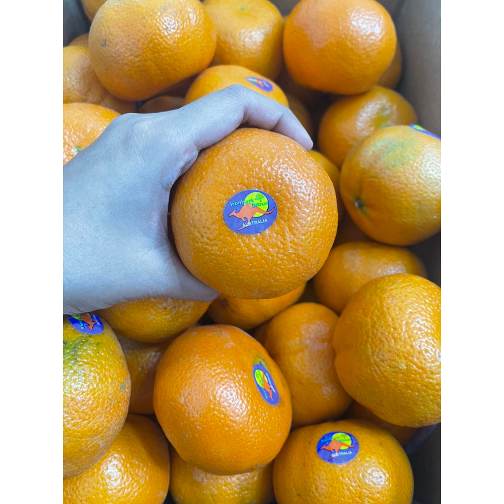 

Jeruk Murcot Aussie Manis 500gram dan 1kg