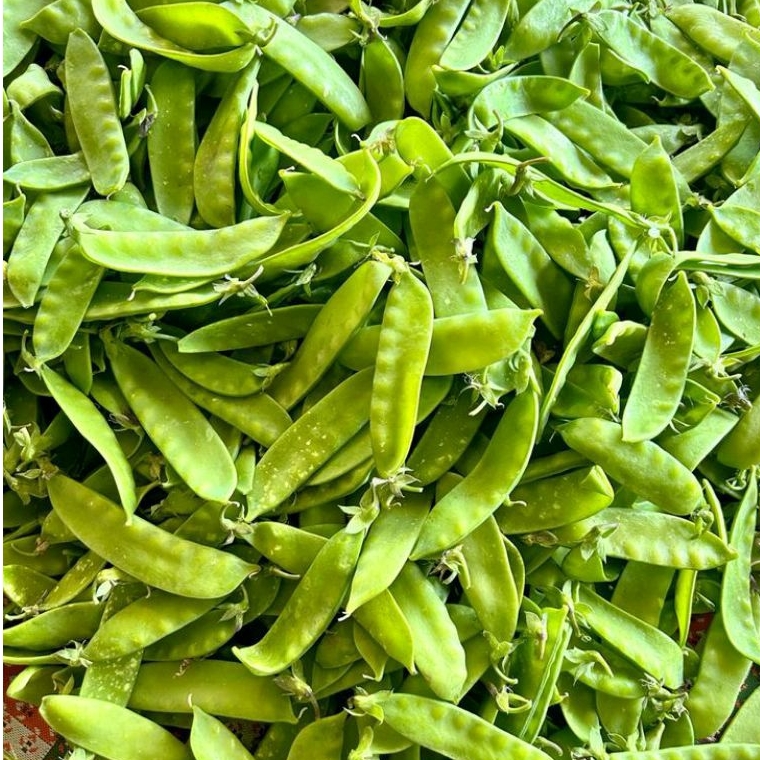 

Kacang Kapri Kecil/Ercis 500gr